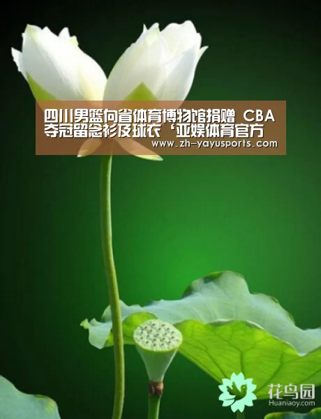 亚娱体育官方网站